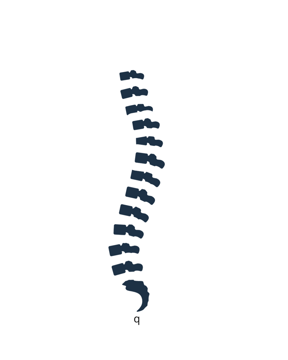 q (1).png