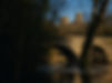 Background Image 1_edited.jpg
