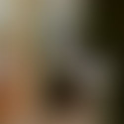 Una boda en La Gaivota