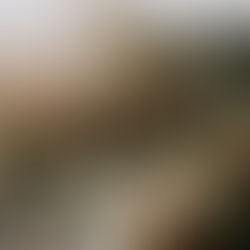 Para una boda de invierno