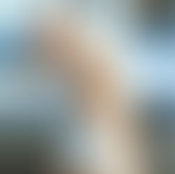 Cinco direcciones para organizar tu boda ( Vol I)