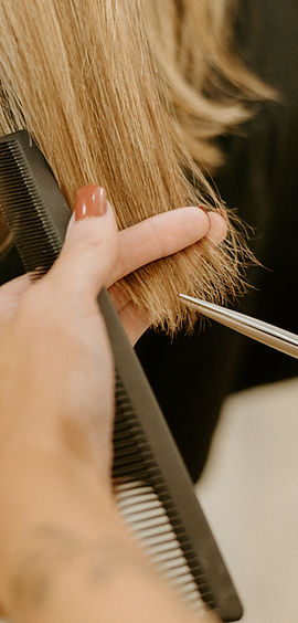 Hair | Tiger Lily Beauty Co. | Bespoke Hair + Beauty Studio in Clemson, SC