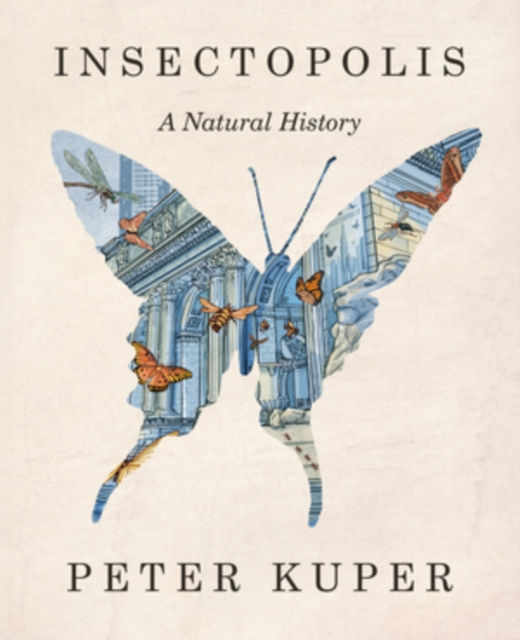 Insectopolis : A Natural History