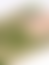 buy iraqi dinar in Nelson Tasman online