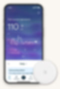 Lingo glucose monitor and app