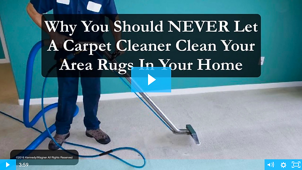 Why You Should NEVER Let A Carpet Cleaner Clean Your Rugs In Your Home