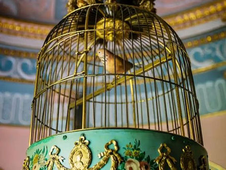 Canary
