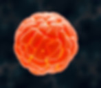 solid tumor centered with abstract background .jpg