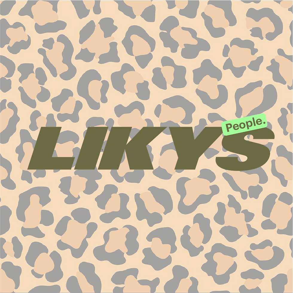 LIKYS BIRTHDAY PARTY