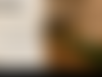 Woodhouse Spa – Gainesville Introduces the Luxurious Event Suite: A New Space for Community, Connection & Curated Experiences