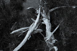 Another Kind of Death (1 of 1)