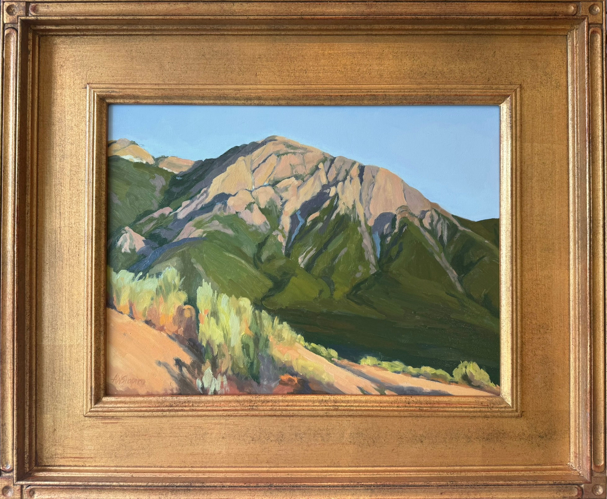 Foothill Mount Olympus