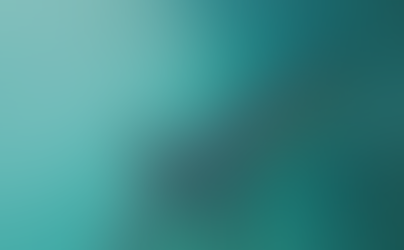 Reef shark