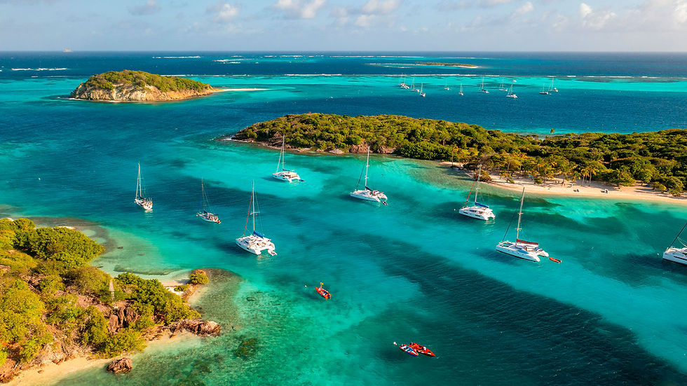 Tobago Cays