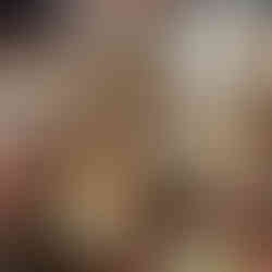 Nyter dagens innkjøp