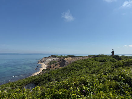 Dag 371 Rundtur på Martha´s Vineyard