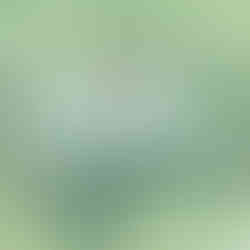 inn i det avsperrede området