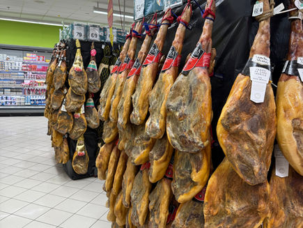 Dag 128-129 Vi skal ikke ha kakerlakker ombord!