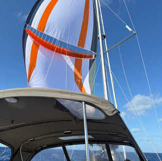 Vår kjære parasailor