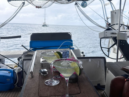 Dag 254-256 Strandliv og hobbykvelder