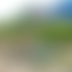 nå har det vokst frem mere grønt