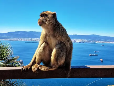 Dag 78  Vi når det sørligste punktet på det europeiske kontinentet - next stop Afrika!