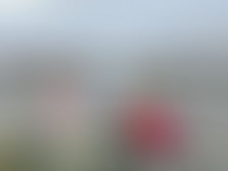 Besøk, besøk, besøk!