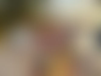 Dag 280-281 Piratskatter og ny business!