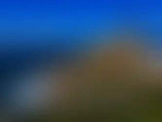 Dag 37 Carina får en ny venn og spekkhoggerne kommer litt for nærme!