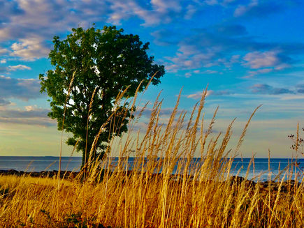 Koser oss på Bornholm