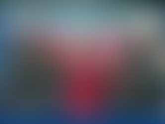 WHSV: Winsome Earle-Sears, John Reid rally voters in Rockingham County