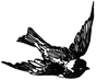 BIRD FLYING_edited_edited.png
