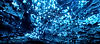 Glowworm Cave_edited.jpg