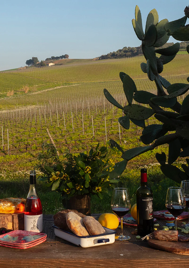 10ILSYRAH_800x.jpg.webp