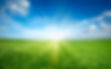 Sunset sun and field of green fresh grass under blue sky.jpg