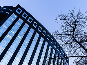 modern-office-building-with-tree-branches-framing-2024-10-19-20-39-49-utc.png