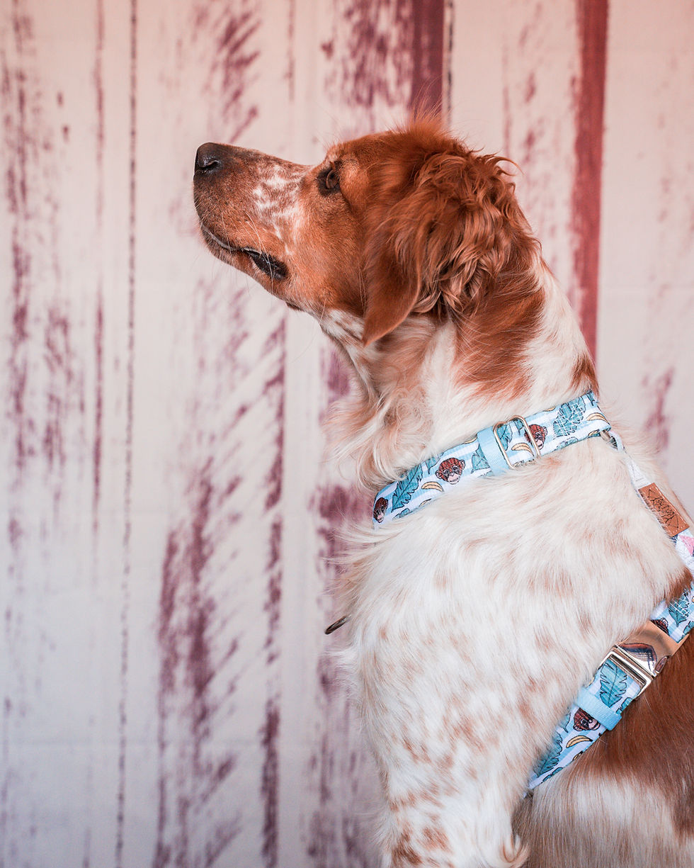 Miniatura: Tropical Monkey Strap Harness