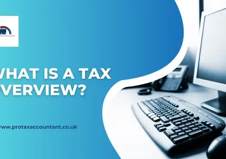 What Is a Tax Overview?