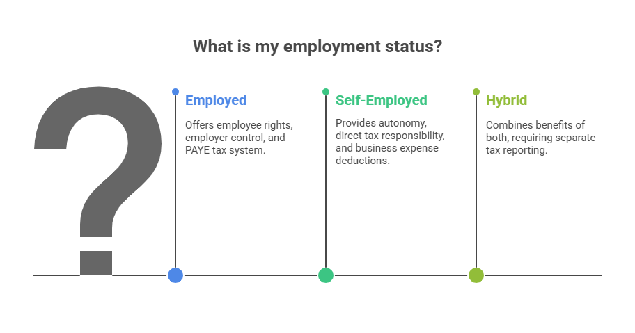 What is my employment status?