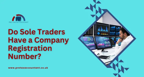 Pro Tax Accountant | Tax Accountant UK | Online Tax Accountants