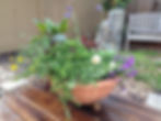 potted garden on deck