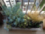 San Francisco Waterfont Garden