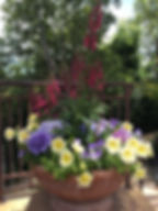 CONTAINER PLANTING