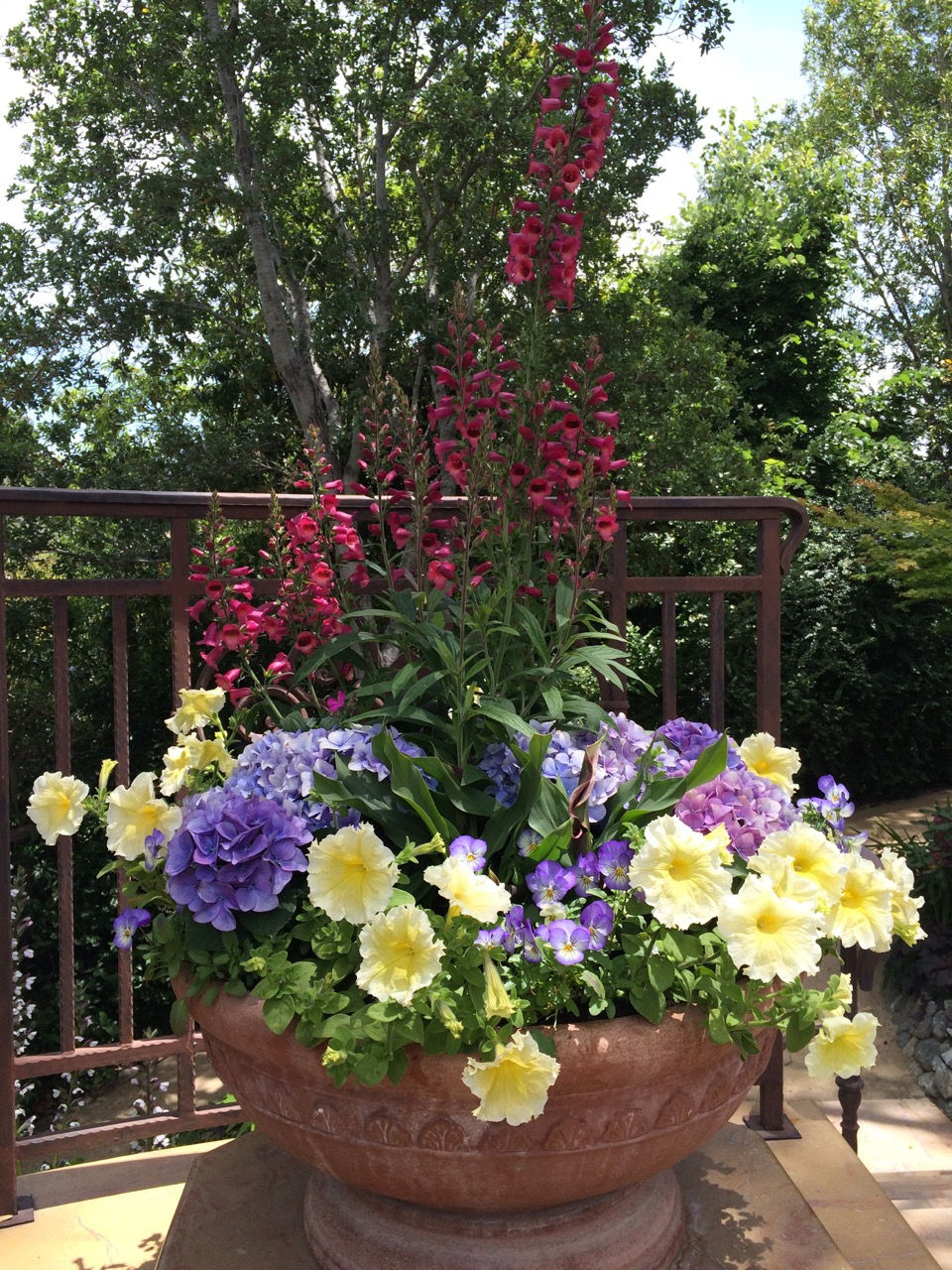 CONTAINER PLANTING