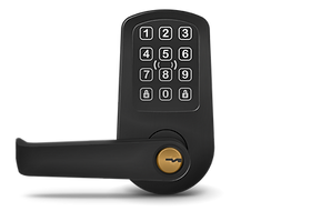 Red Lockset Graphics_Flat Black-.png