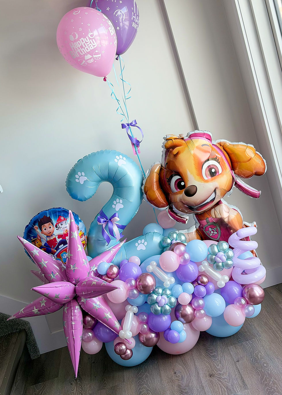 Thumbnail: Skye Paw Patrol Balloon Set