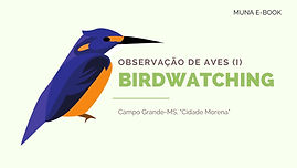2 Observação de Aves.jpg
