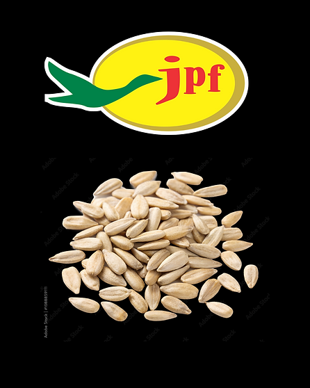 Untitled design (2).png