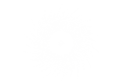 Untitled design (1)_edited_edited.png