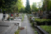 view-cemetery-with-tombstones.jpg